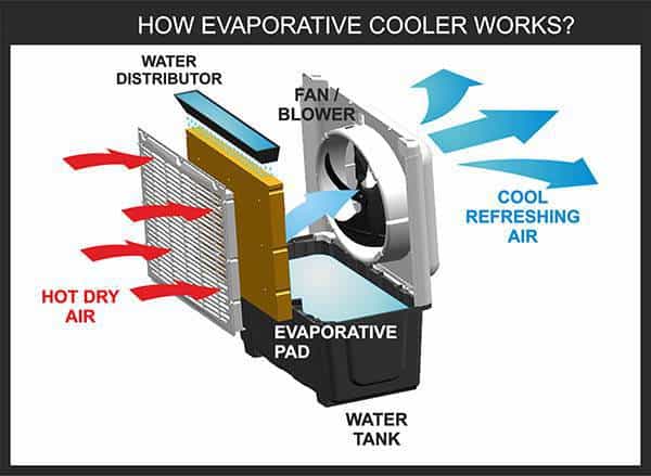 Graphic of how evaporative cooler works